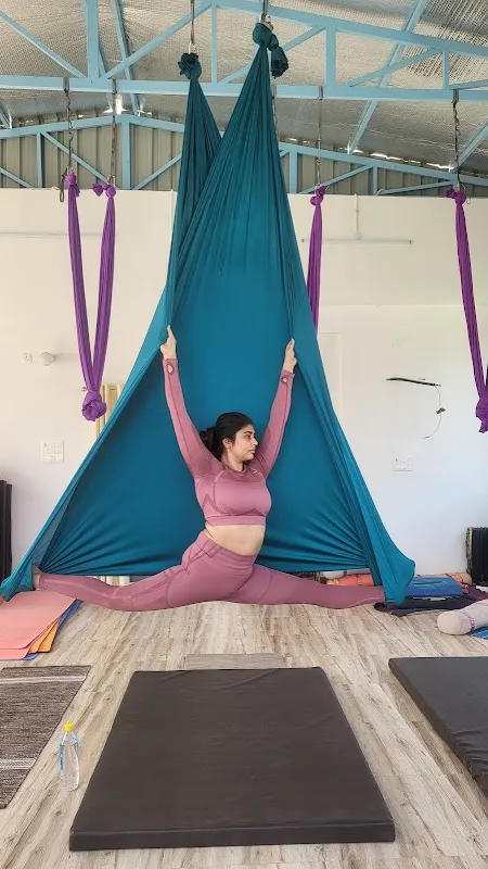 DIVINE YOGA CLASSES