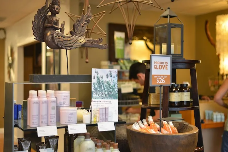 Source Salon Wilton Manors
