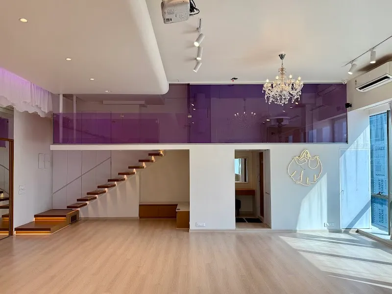 BellydanceHabibi Studio