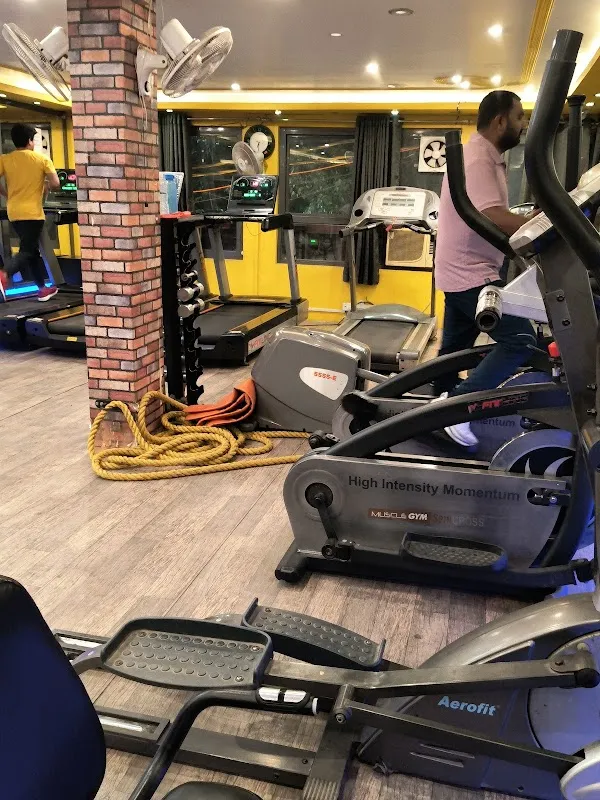The Multi Fitness Gym