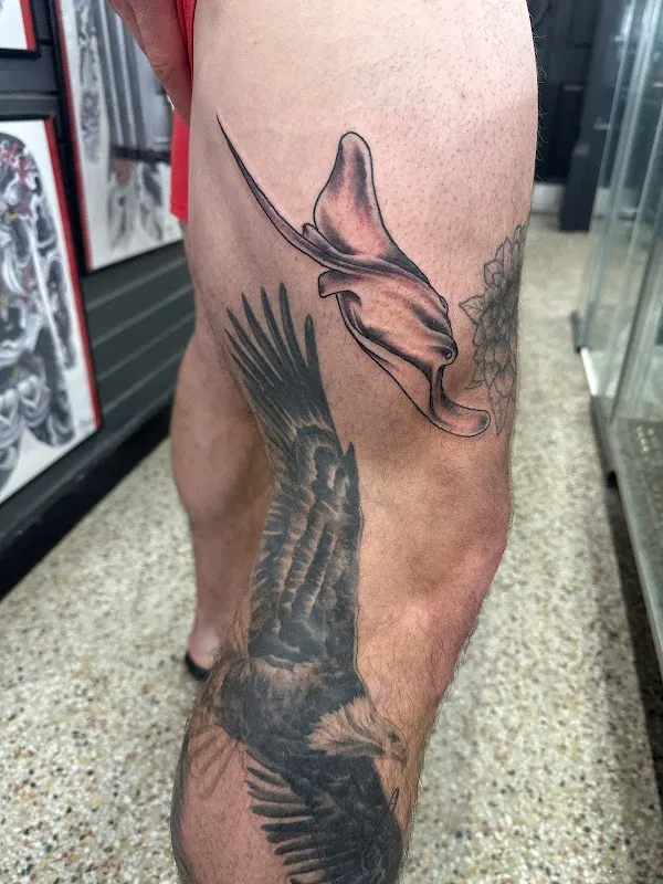 Bulldog Tattoo