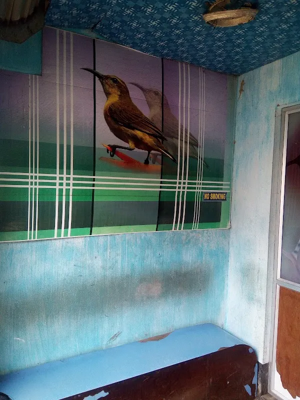 STUDIO RUPAM