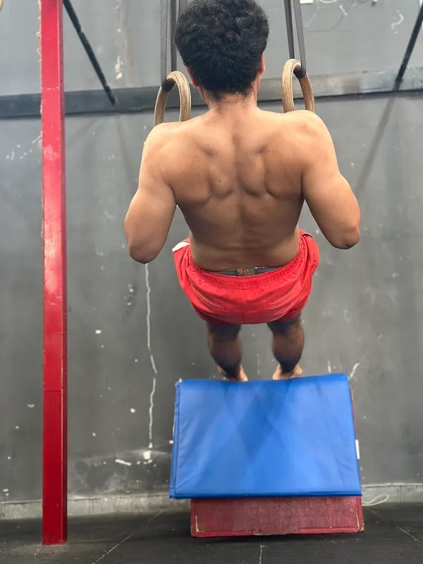 Ajinkpower the fitness warehouse