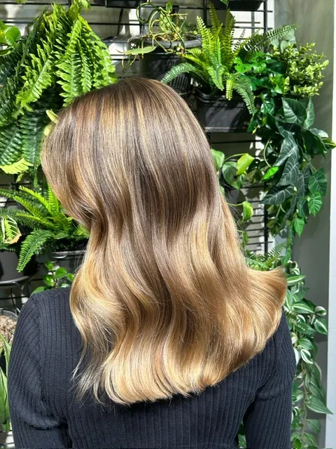 Said Rubaii hair salon