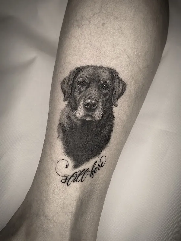 OMEN Tattoo & Piercing - Berlin Mitte