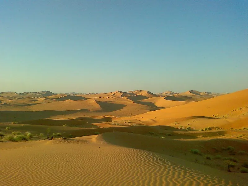 Rhourd El khrouf