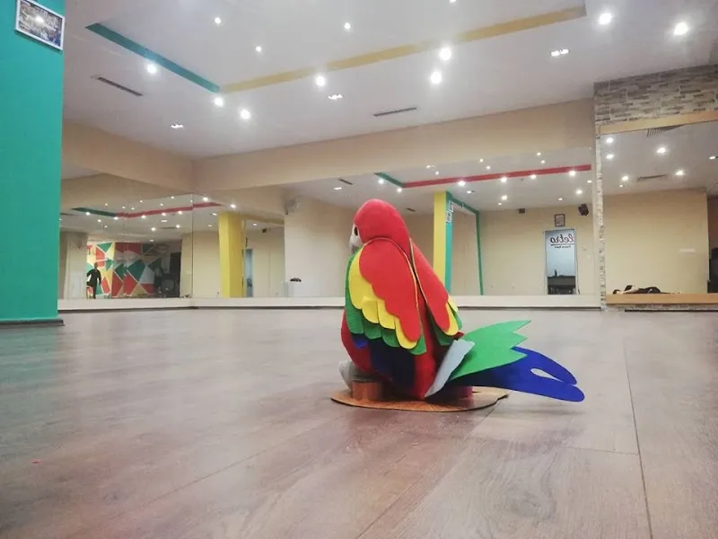 Paletro Dance Spot | Зала за латино танци София | Групови тренировки за начинаещи и напреднали | Професионални инструктори