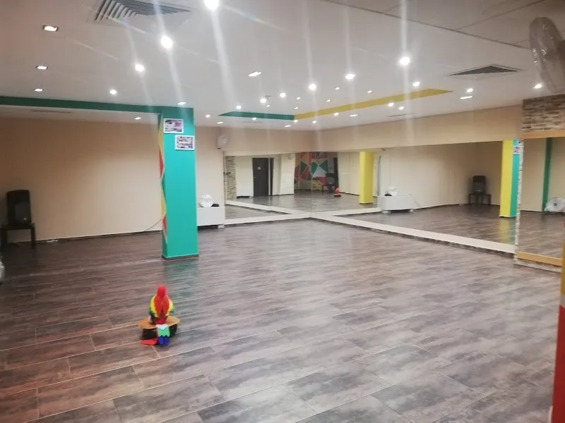 Paletro Dance Spot | Зала за латино танци София | Групови тренировки за начинаещи и напреднали | Професионални инструктори