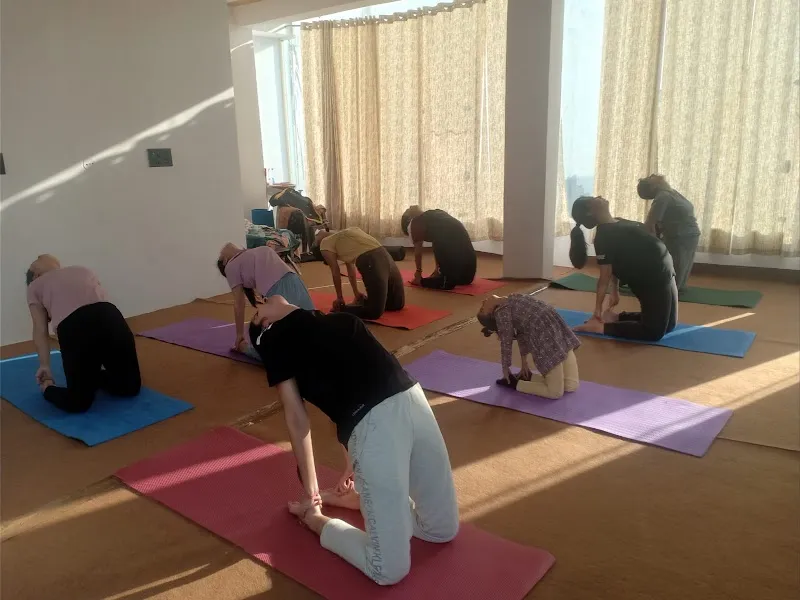 Dabas Dance, Yoga studio