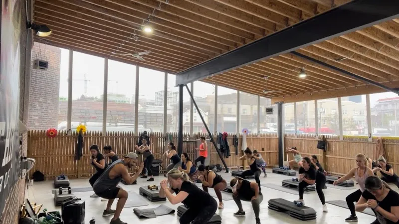 Evolution Fitness