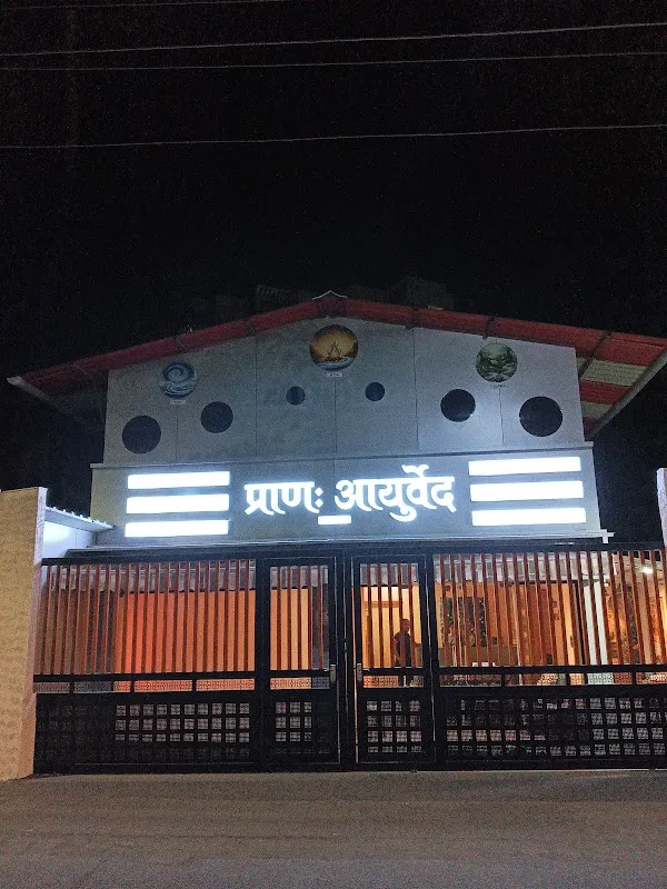 Prana Ayurved