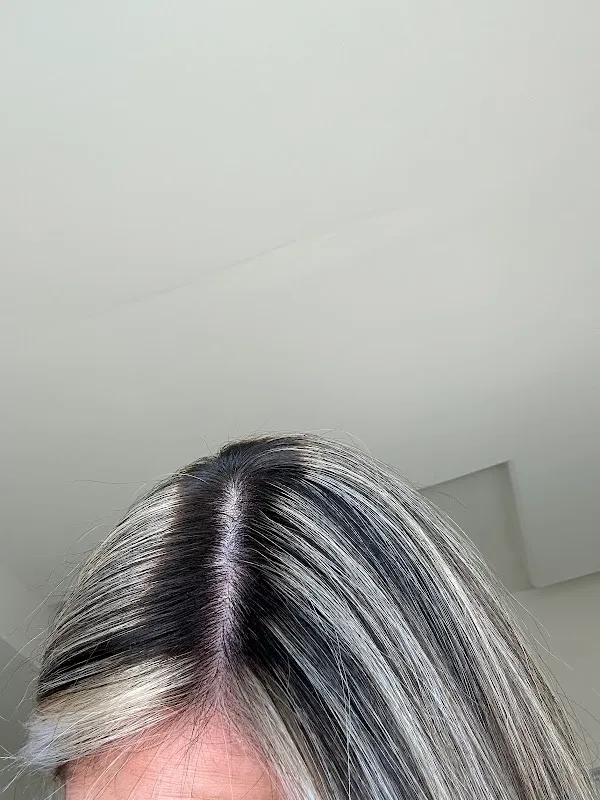 Salon Seville