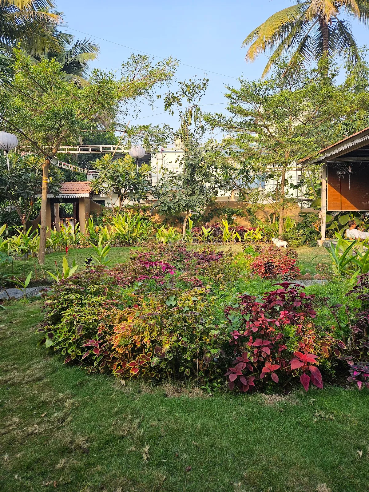 Arogyaraksha Yoga Pune