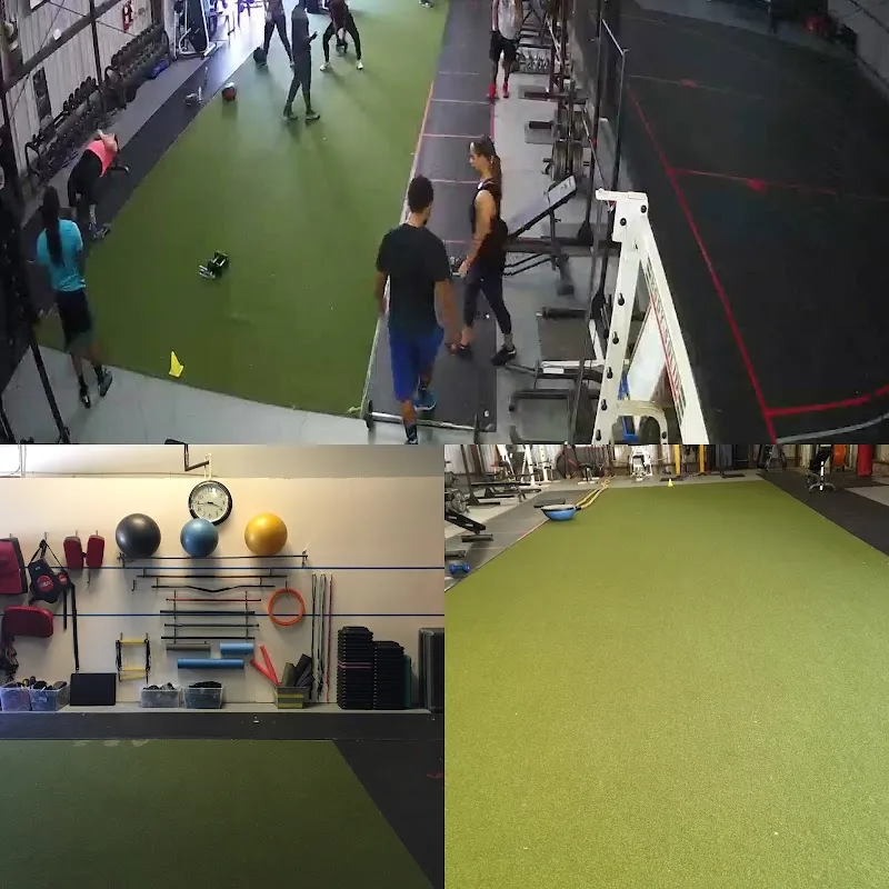 TrainingwithMoses