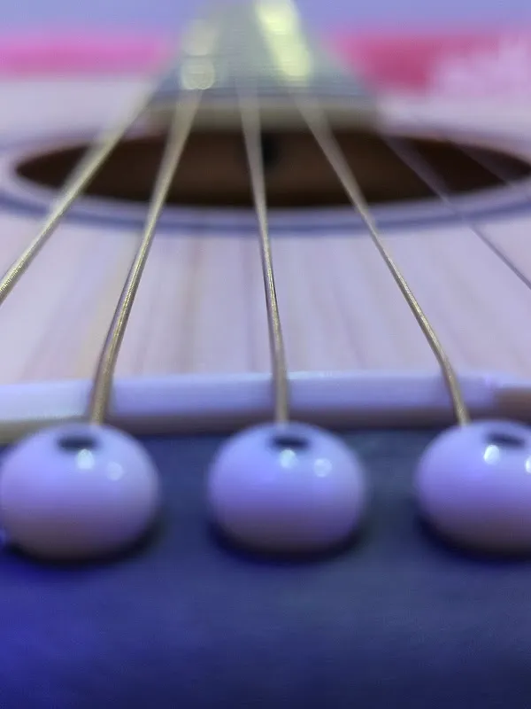 Vindhyavasini Music Studio