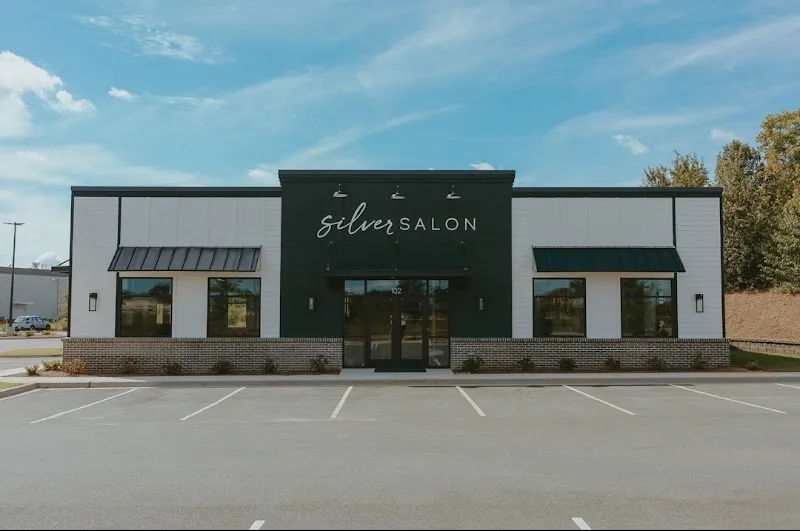 Silver Salon
