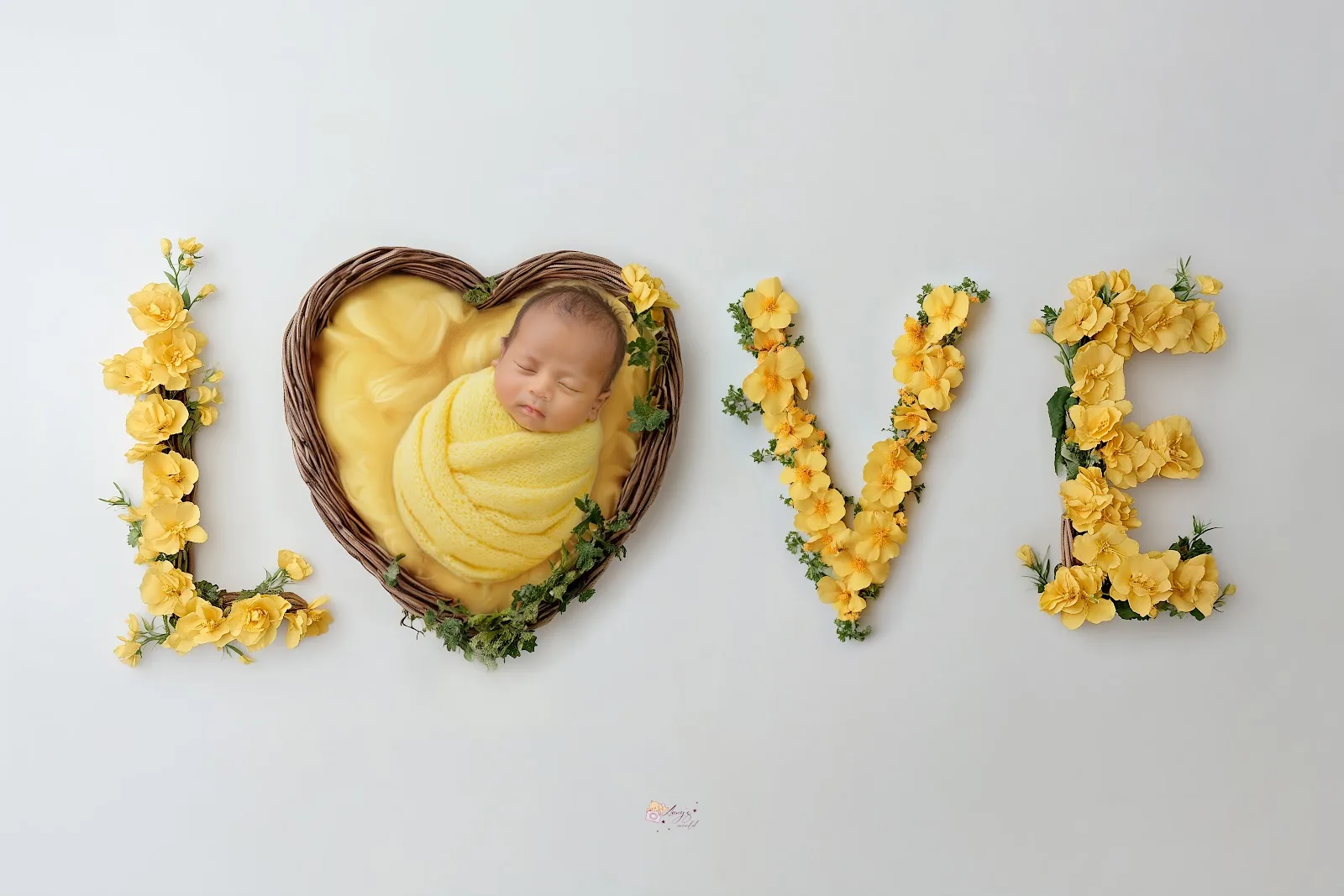 Anny's World PhotoStudio