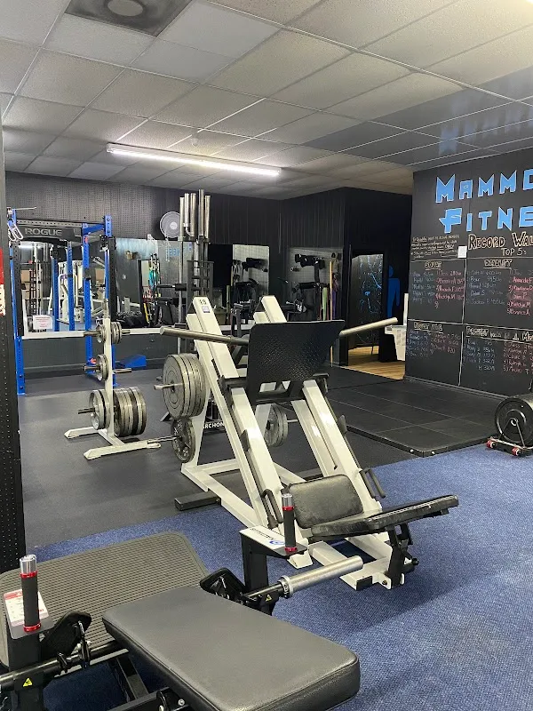 Mammoth Fitness