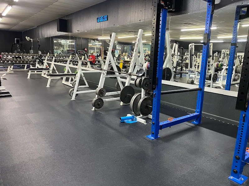 Mammoth Fitness