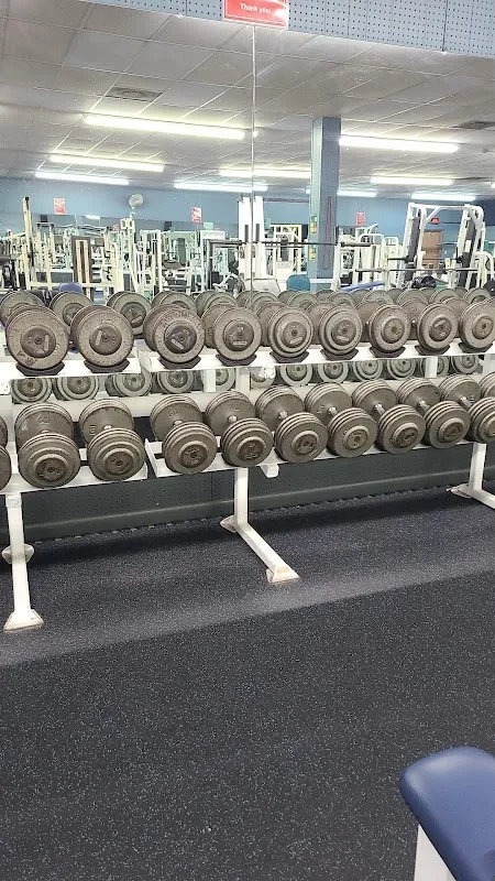 Mammoth Fitness