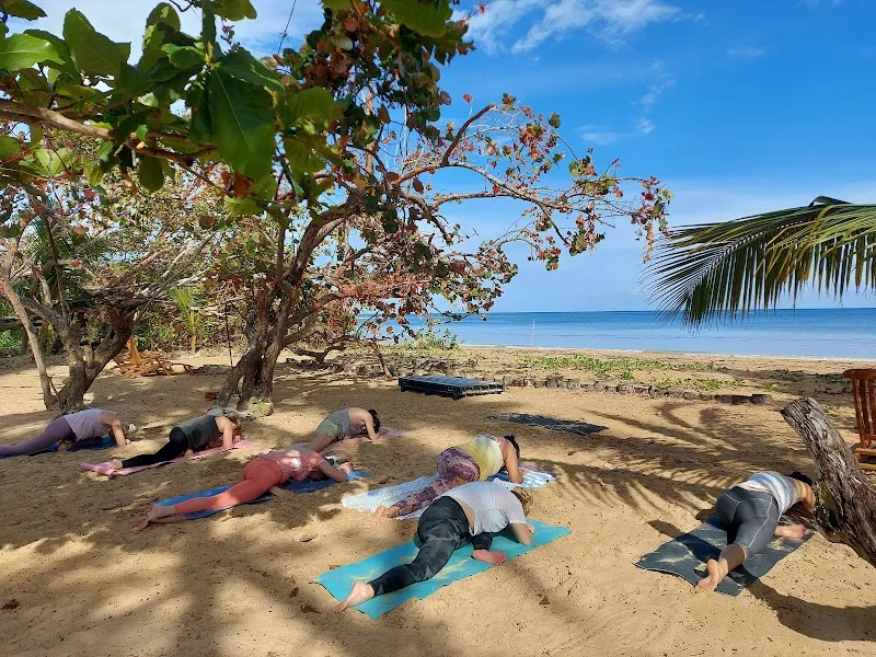 Ondiyoga Yoga and Massage Las Terrenas