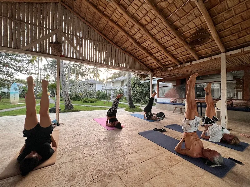 Ondiyoga Yoga and Massage Las Terrenas