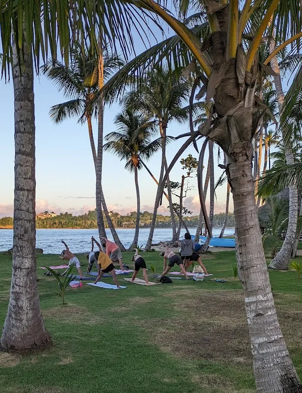 Ondiyoga Yoga and Massage Las Terrenas