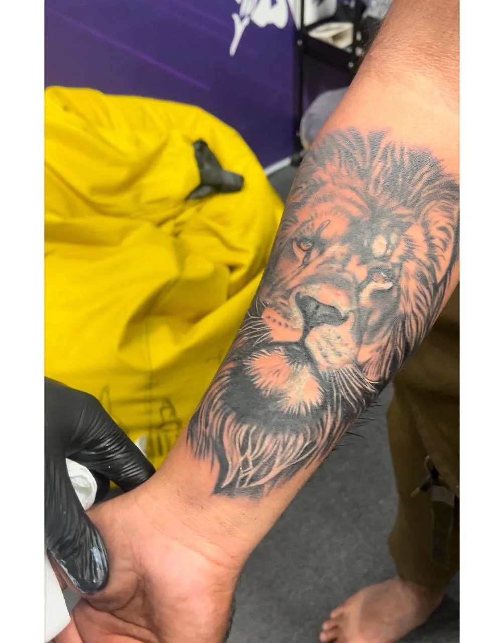 Wise Owl Tattoo