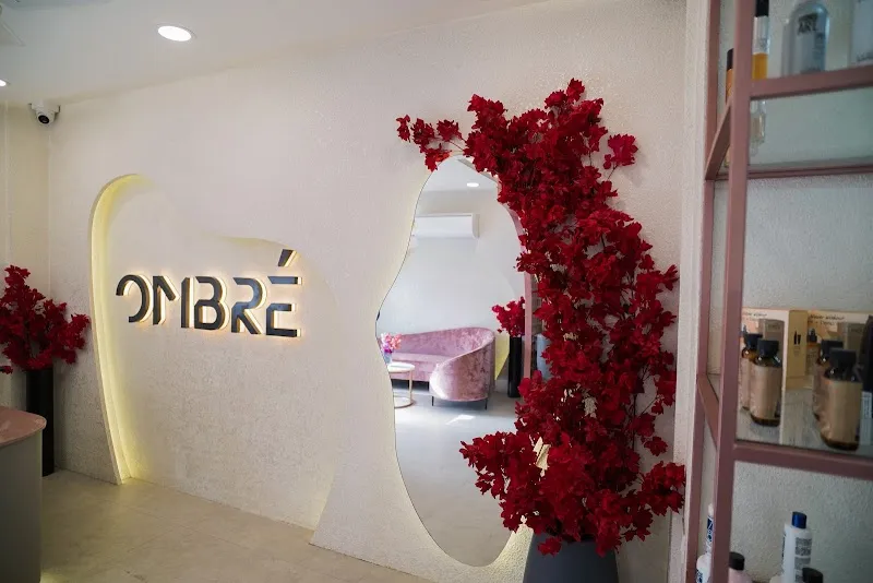 Ombré Salon