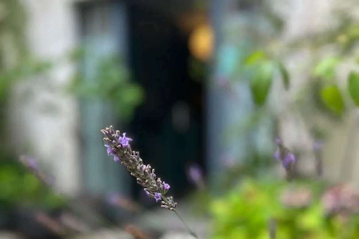 Casa Yoga Paris - Studio Paradis
