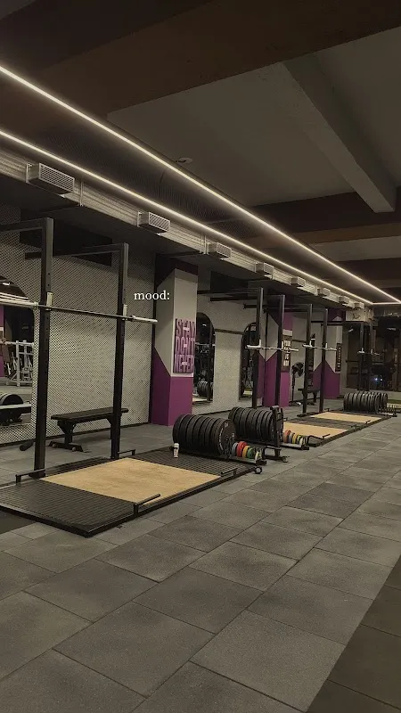 Elite Fitness