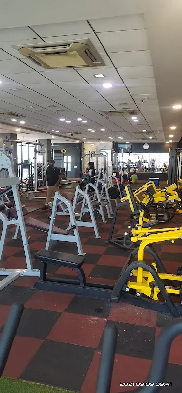 Elite Fitness