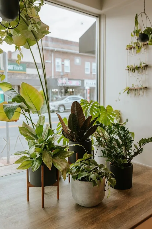 Ash + Oak Salon Boutique Salon