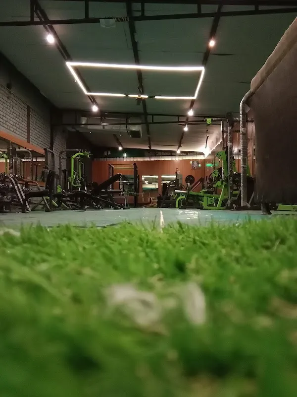 The Goldy's Fitness