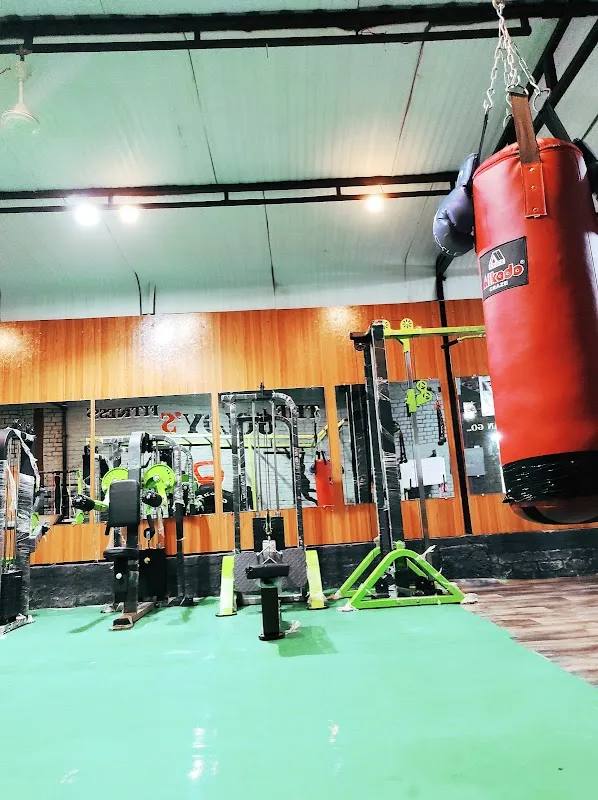 The Goldy's Fitness