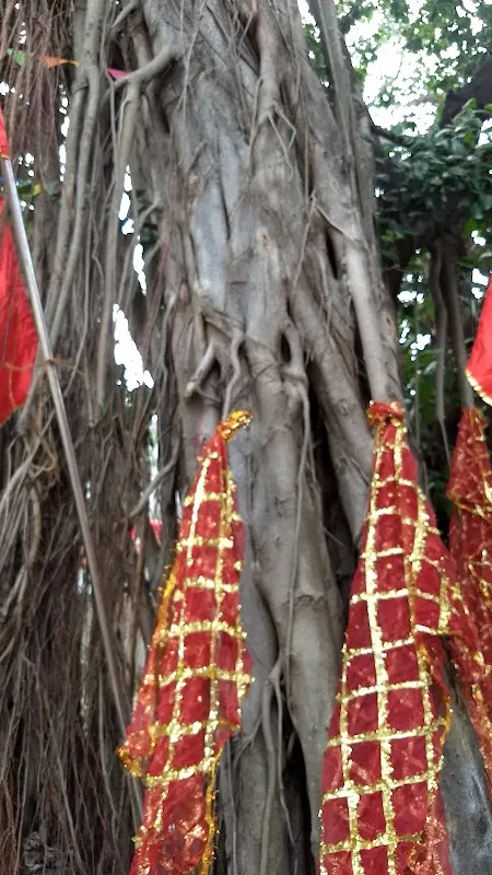 Trimurti Studio