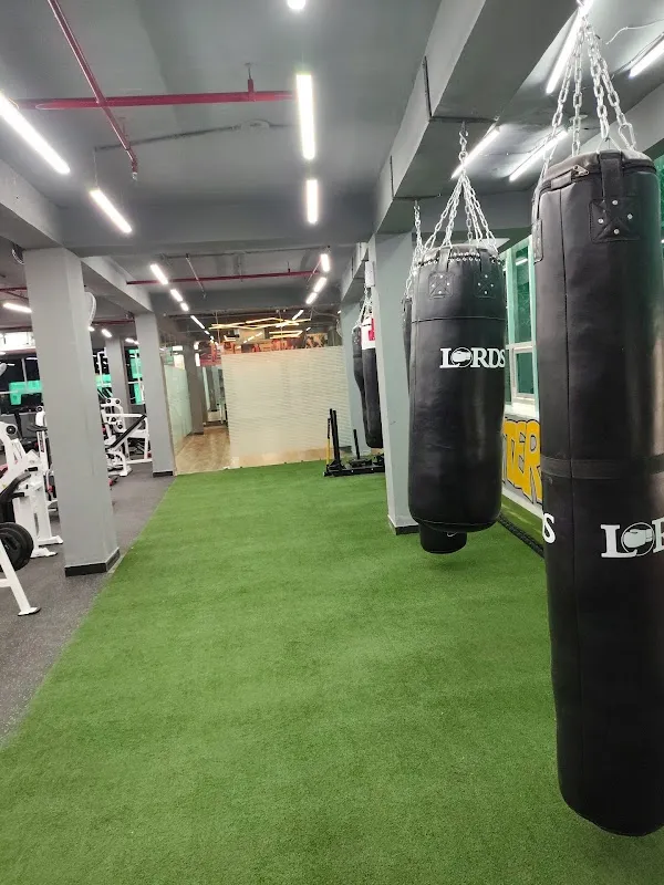 Skyline fitness gym