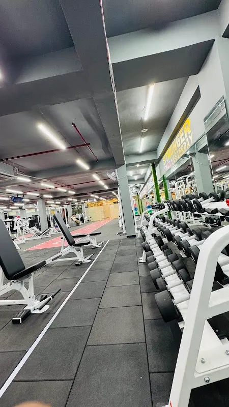 Skyline fitness gym