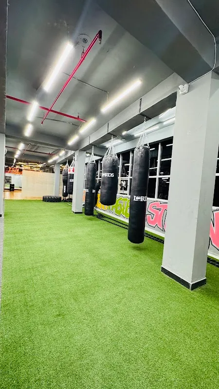 Skyline fitness gym