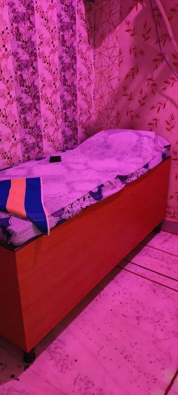 The Eleven star spa and salon