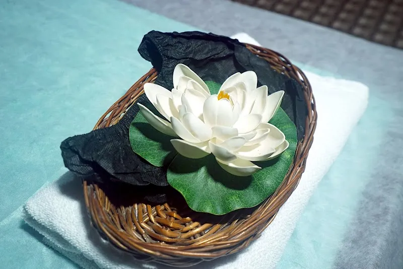 Moon SPA & Salon