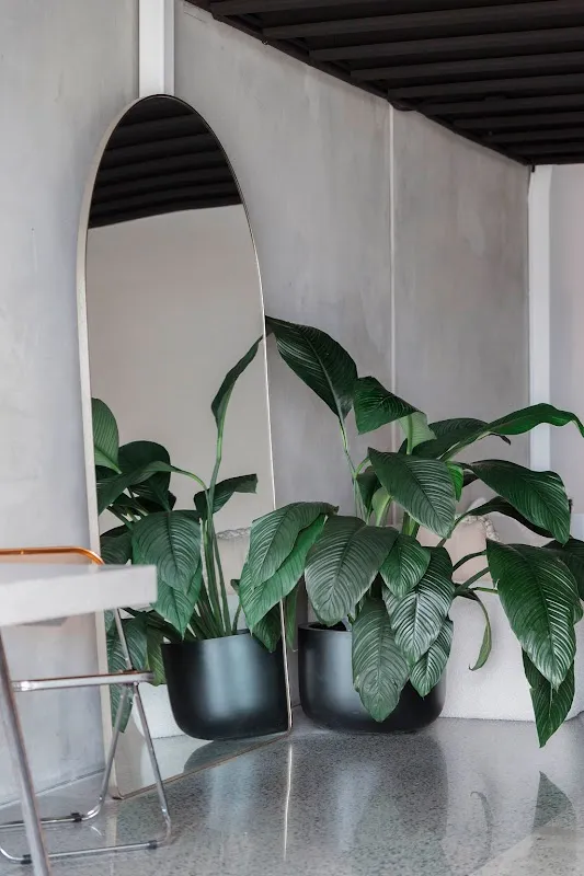 Gravitate Studio | Gold Coast Photo & Video Studio