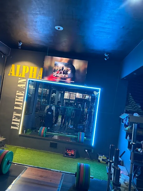 Alpha Gymnasium