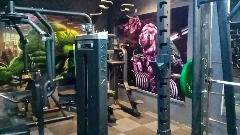 Alpha Gymnasium