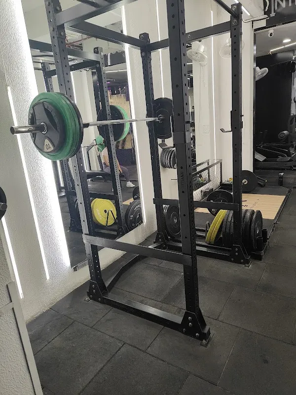 Intense Rigour Club - Gym & Fitness Centre