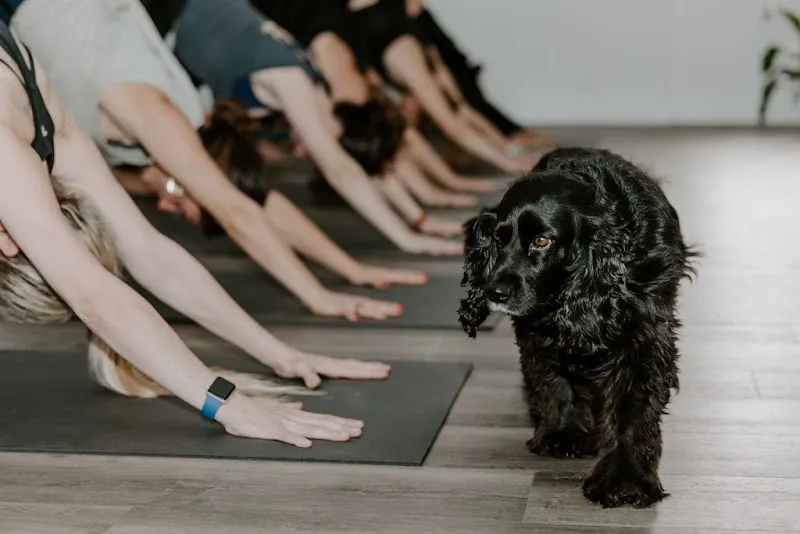 The Yoga Space Melbourne