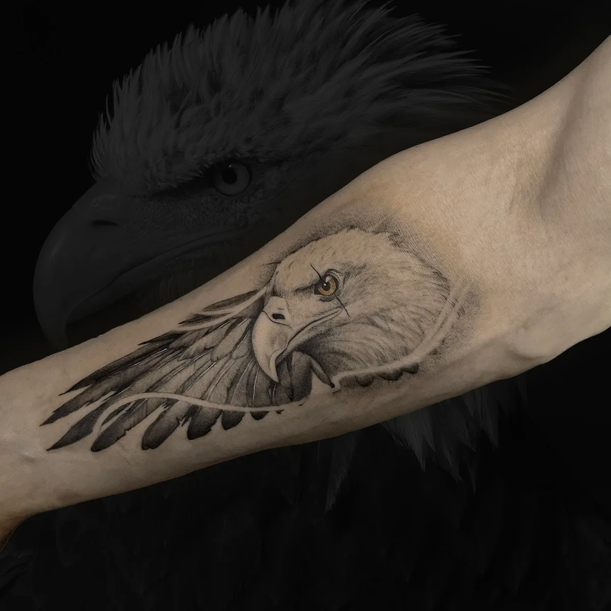 Студия татуировки и пирсинга Crazy Tattoo