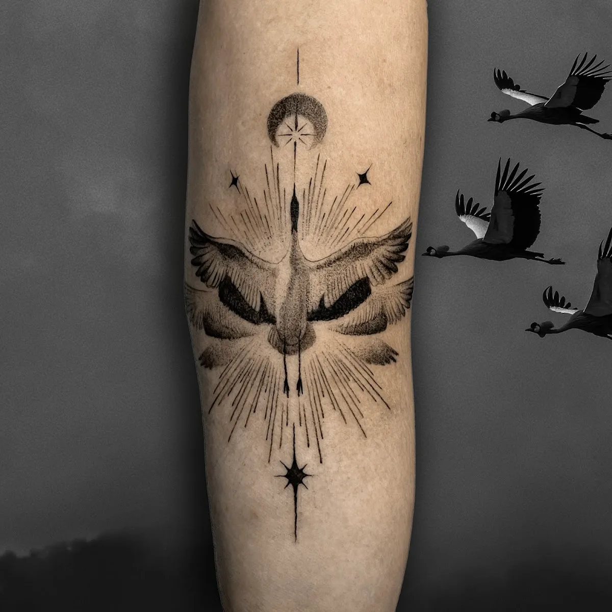 Студия татуировки и пирсинга Crazy Tattoo