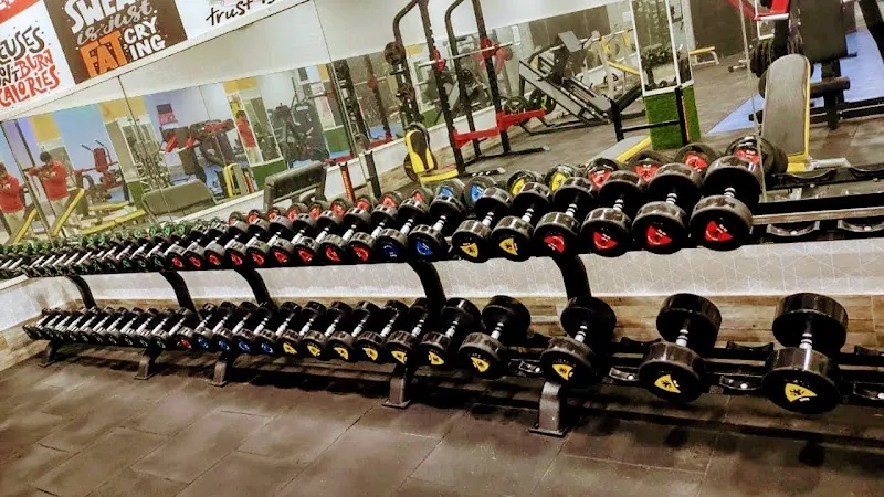 Synergy Fitness Gym