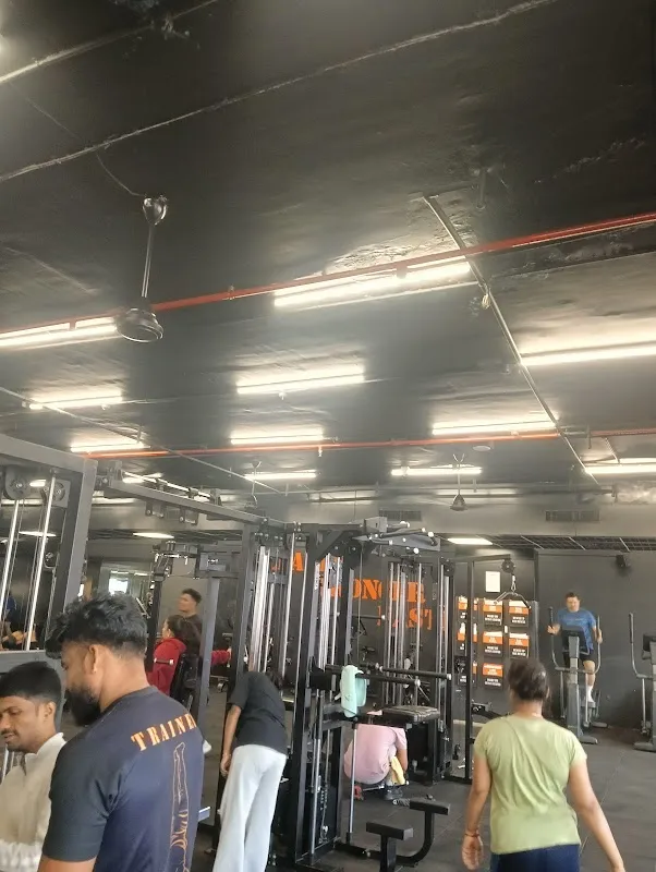 HANDSTAND Gym & Power Fitness ™ - Vasco
